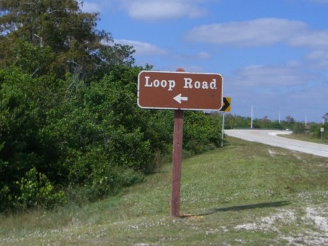 02_loop_road_everglades